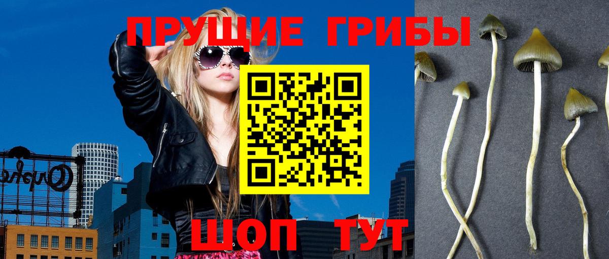 Галлюциногенные грибы прущие грибы  Вход с VPN  Мирный 